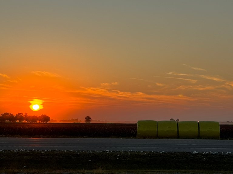 The sun goes down over a harvested cotton field at Black Oak, Arkansas, with four yellow-wrapped cotton modules at the far edge.